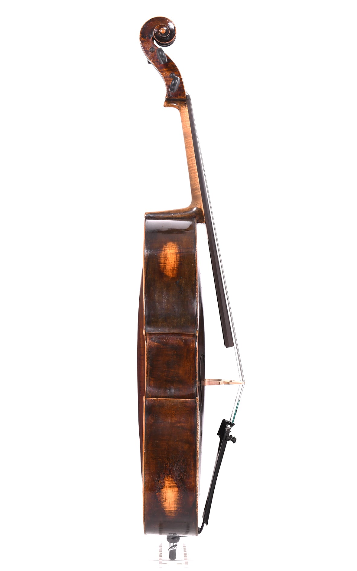 Violoncelle FR14 Sirius