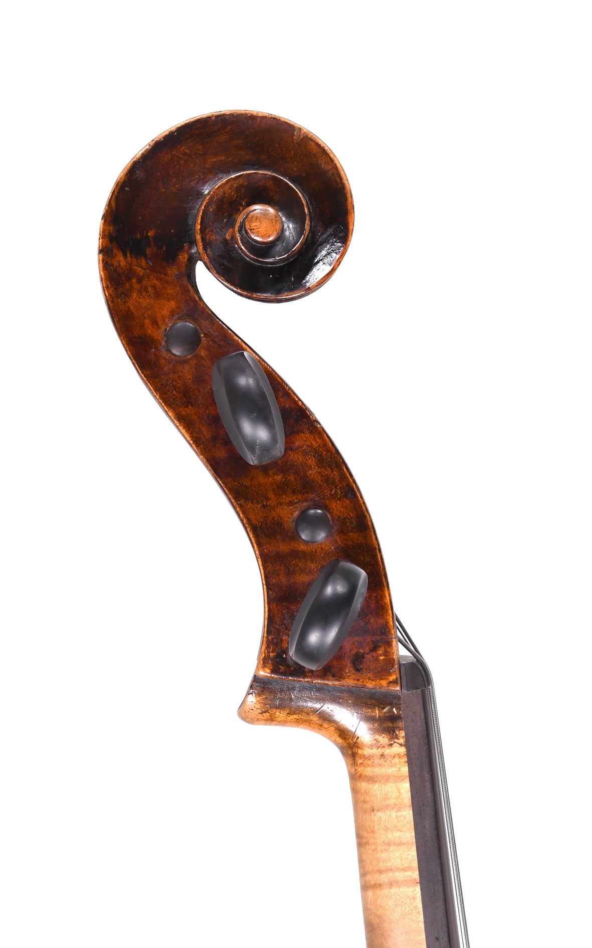 Violoncelle FR14 Sirius