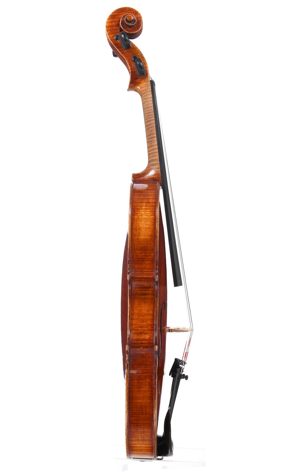 Violon FR12 Sirius
