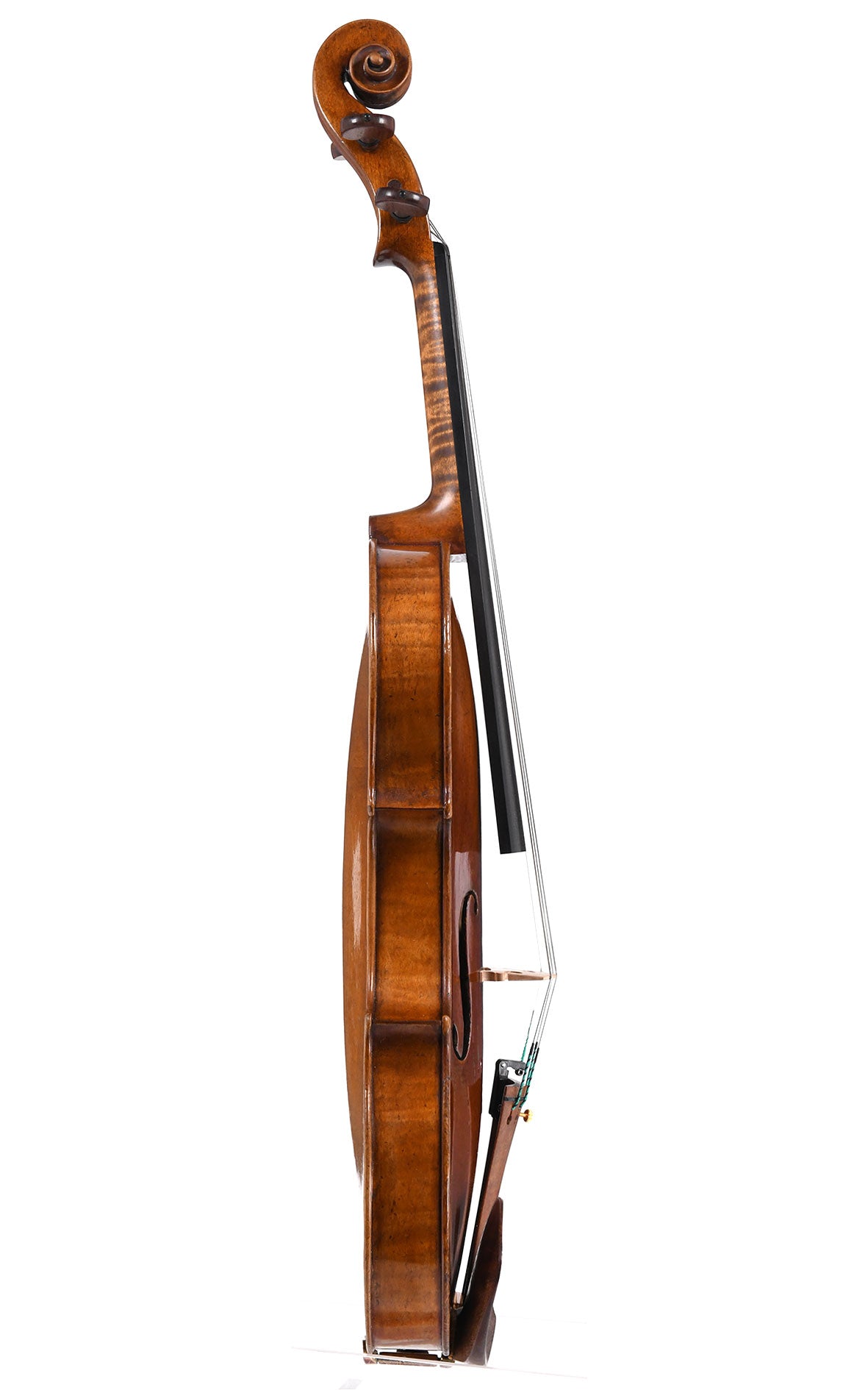 Violon IT11 Sirius